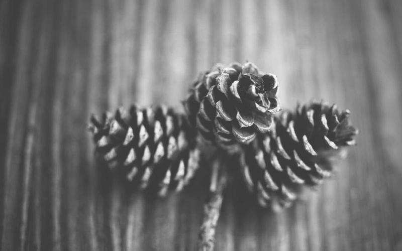 Caribbean Food & Culture Night