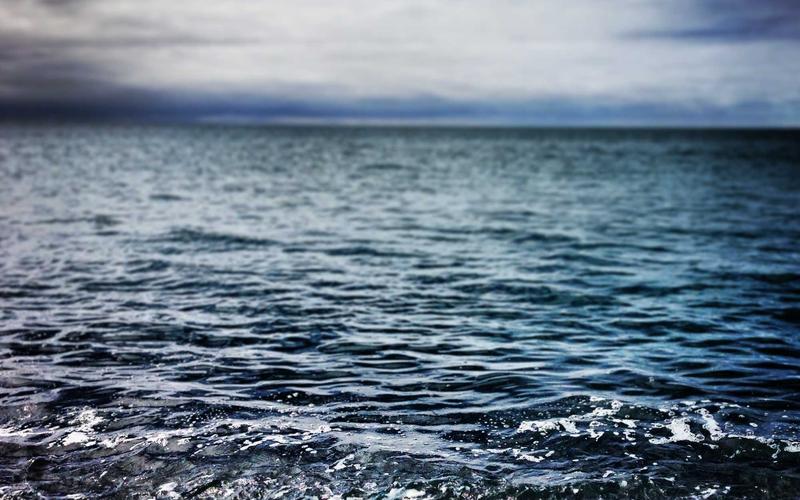 Christmas Community Dinner