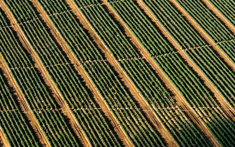 Community Cooking Class: Indian Street Food