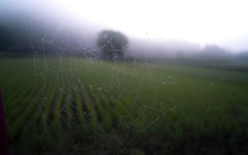 Easter Family Fun Day