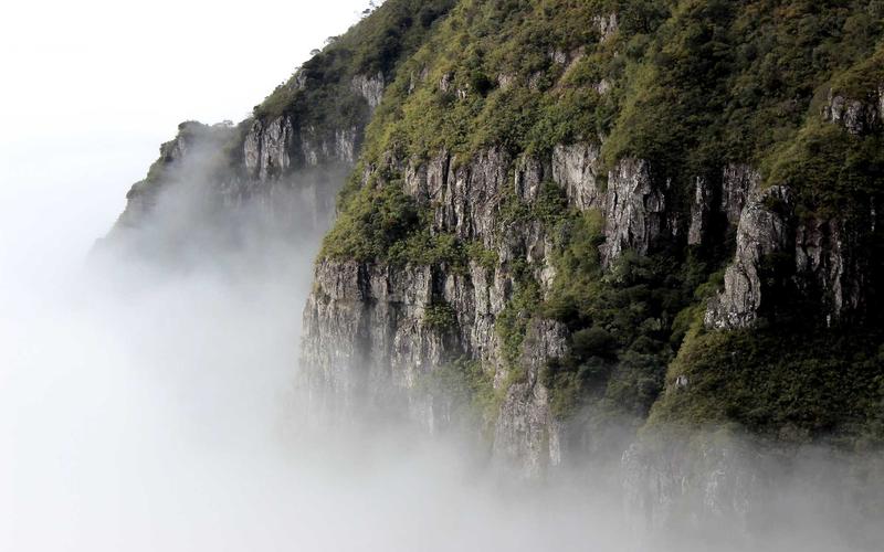 Local Artists Exhibition Opening